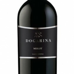 Merlot DOC Piave
