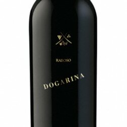 Raboso 2006 IGT Veneto